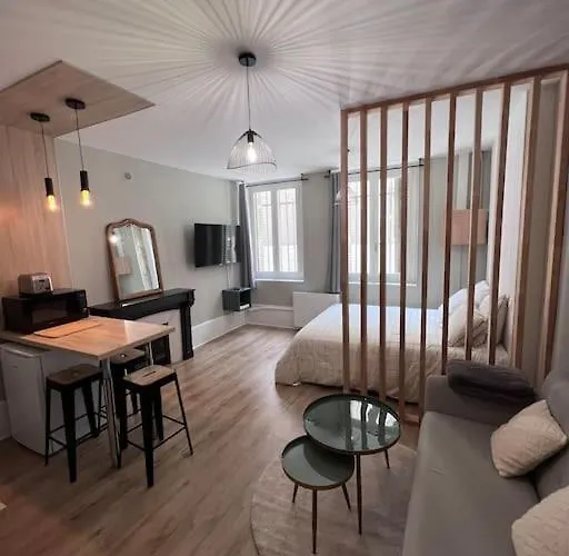 Le Petit Hernoux Centre Historique Apartmán *